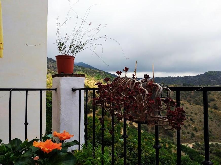 Posada Puente Romano Sedella Exteriér fotografie
